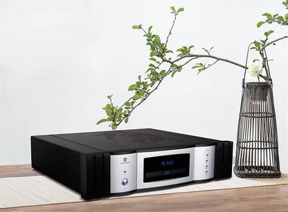 Winner TY-1CD Hi-Fi CD SACD WAV HDCD player