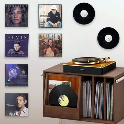 18Pcs Vinyl Record Wall Mount