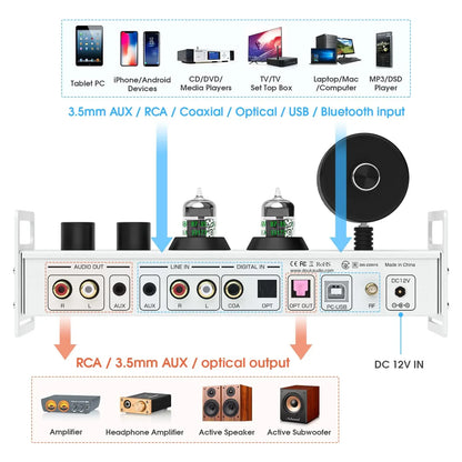 Douk Audio P1 PLUS Bluetooth Tube Preamp / DAC Headphone Amp