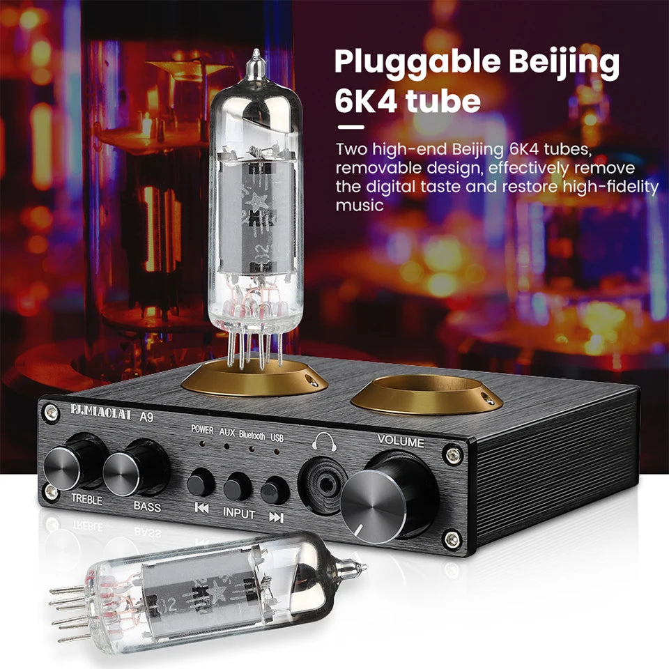 AIYIMA PJ.MIAOLAI A9 6K4 Vacuum Bile Tube HIFI Preamplifier/Headphone Amplifier